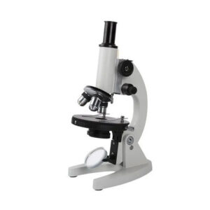 COMPOUND MICROSCOPE